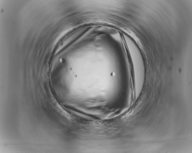 X0000088660799200706081701