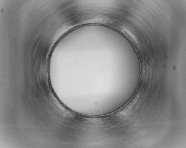 X0000088660800200706081701