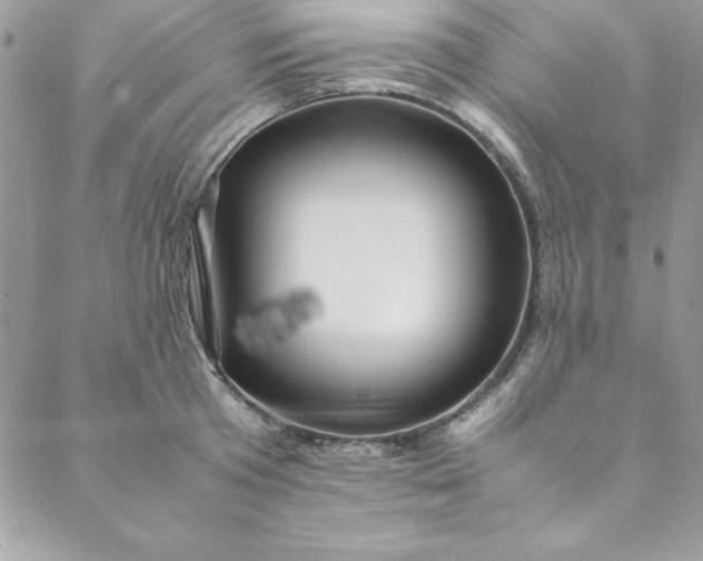 X0000088660801200706081701