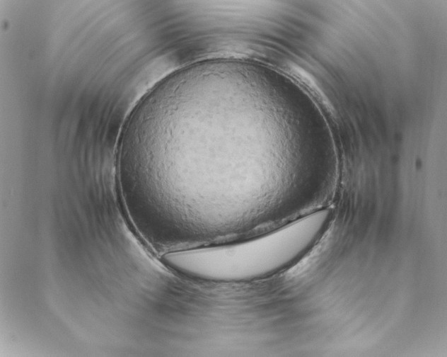 X0000088660802200706081701