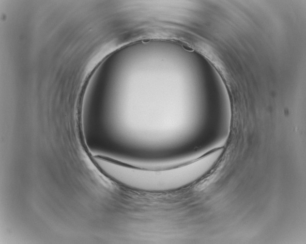 X0000088660803200706081701