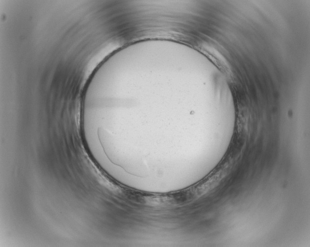 X0000088660804200706081701