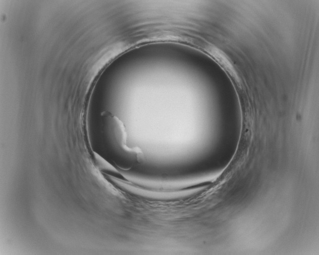 X0000088660805200706081701