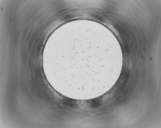 X0000088660807200706081701