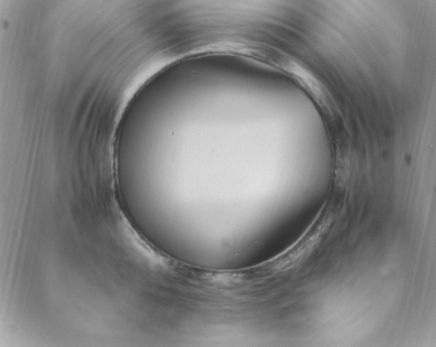 X0000088660808200706081701