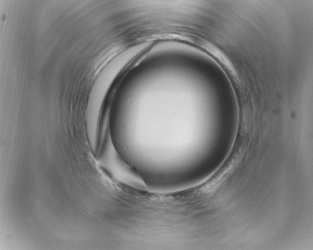 X0000088660809200706081701