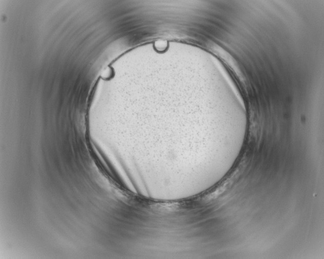 X0000088660810200706081701