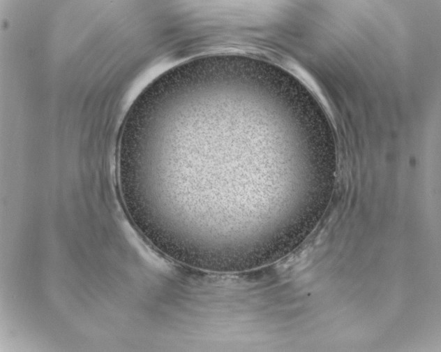 X0000088660811200706081701