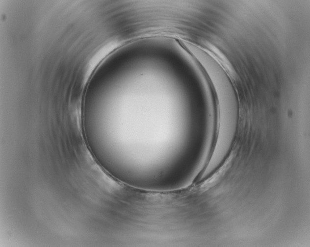 X0000088660812200706081701