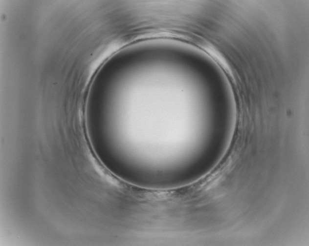 X0000088660813200706081701