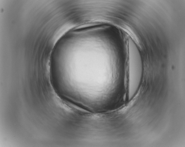 X0000088660814200706081701