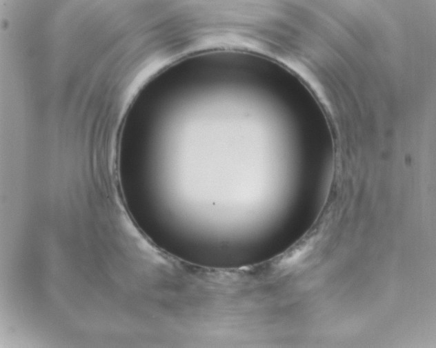 X0000088660815200706081701