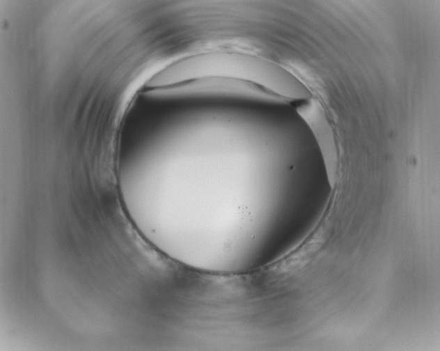 X0000088660816200706081701