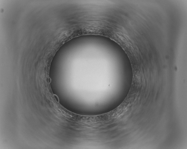 X0000088660817200706081700