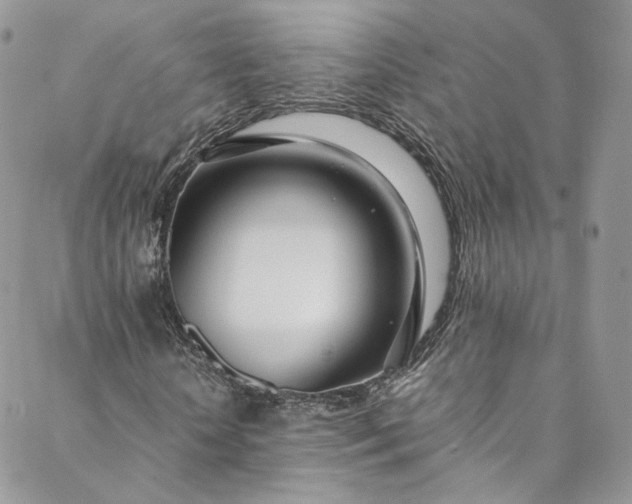 X0000088660818200706081700