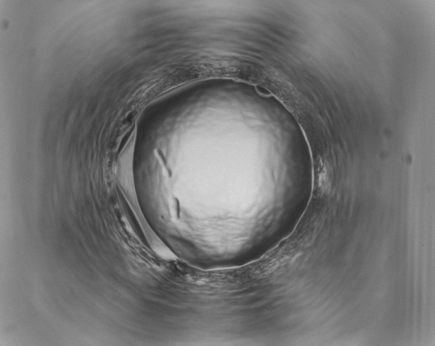 X0000088660819200706081700