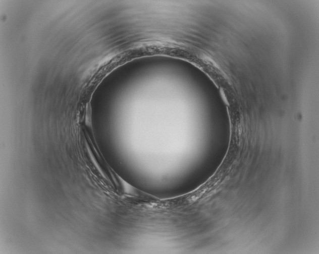 X0000088660822200706081700