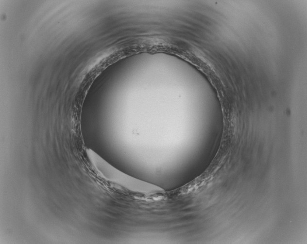 X0000088660823200706081700