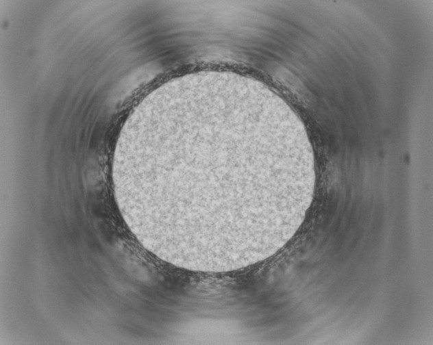 X0000088660824200706081700