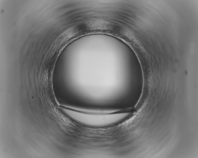 X0000088660825200706081700