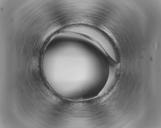 X0000088660826200706081700