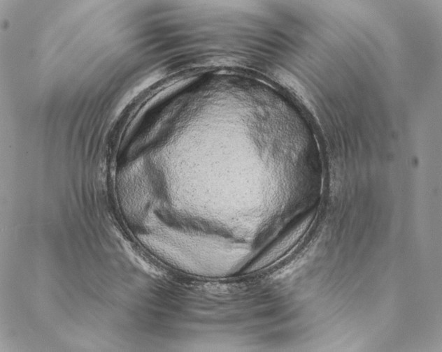 X0000088660827200706081700