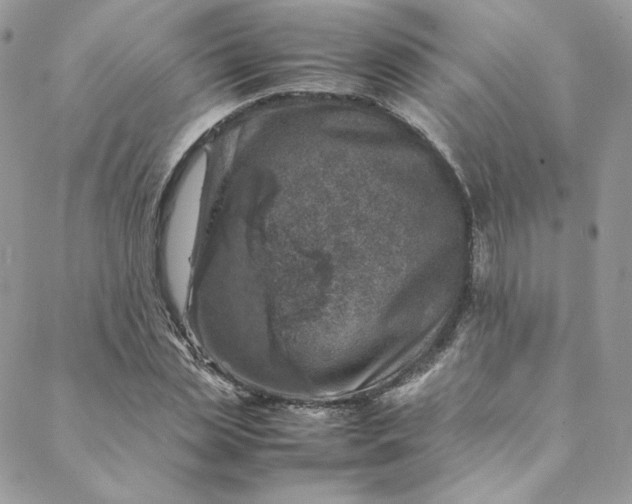 X0000088660829200706081700