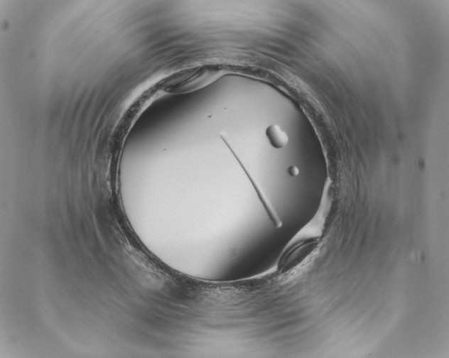 X0000088660830200706081700