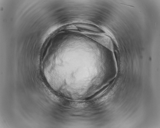 X0000088660831200706081700