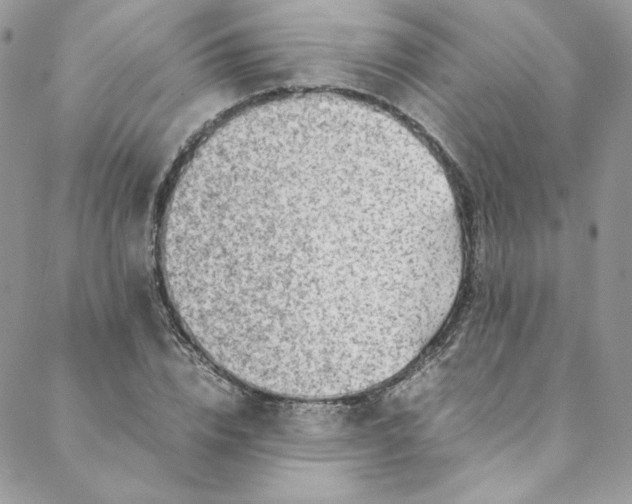 X0000088660832200706081700