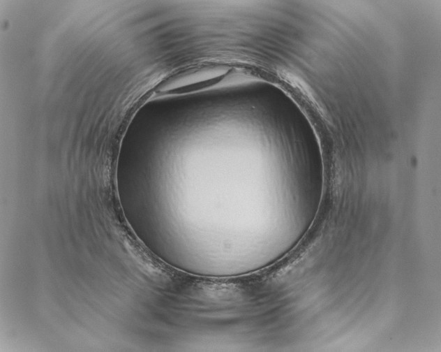 X0000088660833200706081700