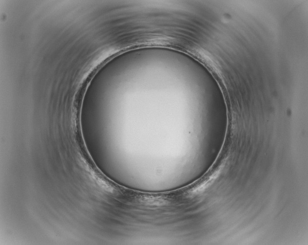 X0000088660835200706081700