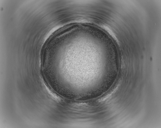 X0000088660837200706081700