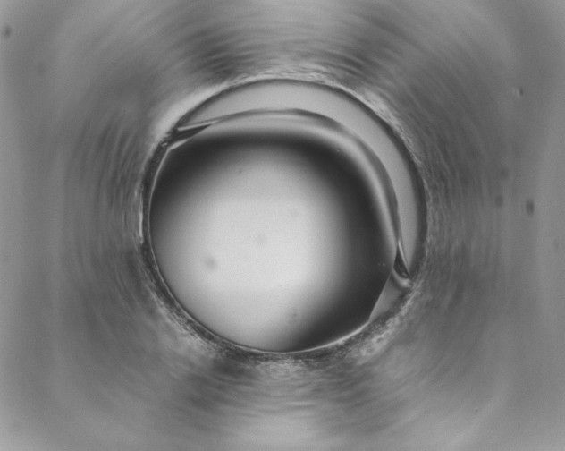 X0000088660838200706081700