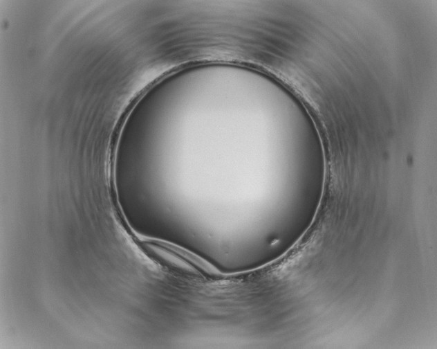 X0000088660839200706081700