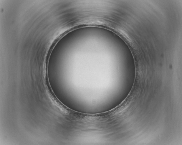 X0000088660840200706081700