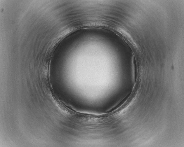 X0000088660841200706081700