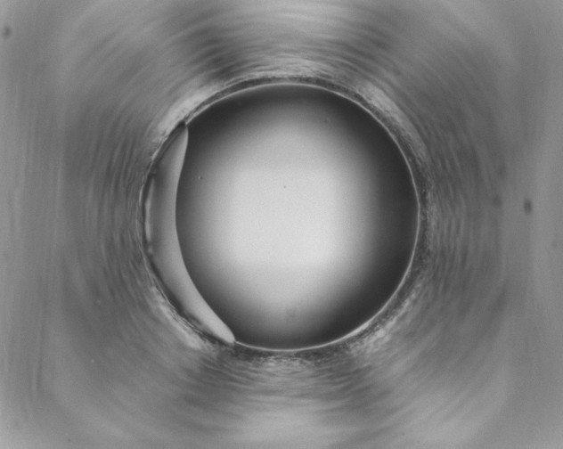 X0000088660842200706081701