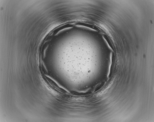 X0000088660843200706081701