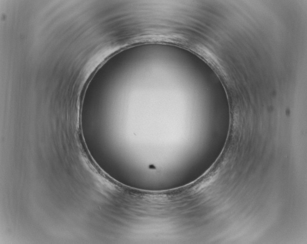 X0000088660844200706081701