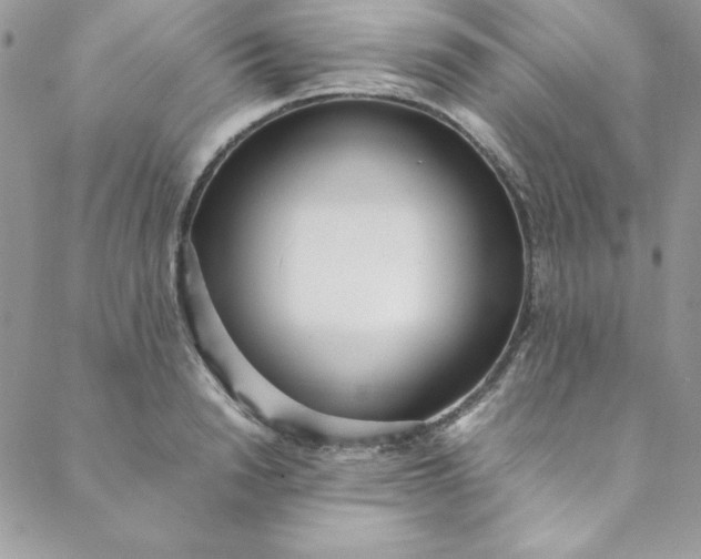 X0000088660846200706081701