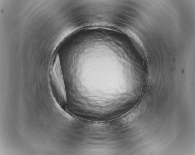 X0000088660847200706081701