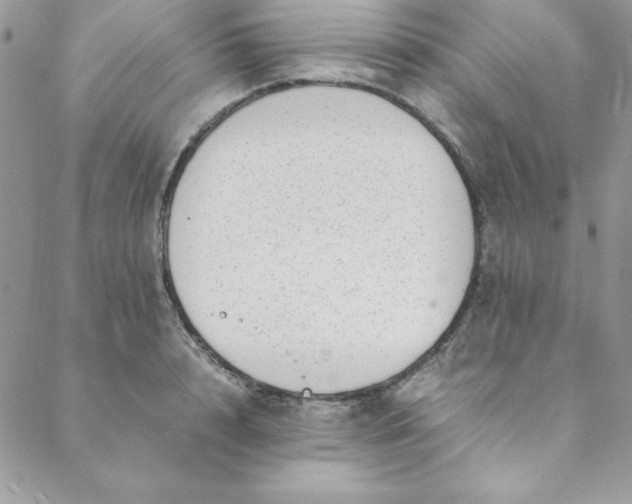 X0000088660848200706081701