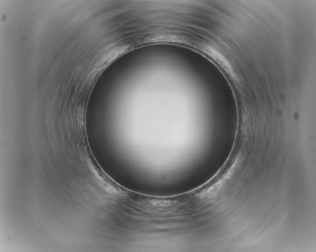 X0000088660849200706081701