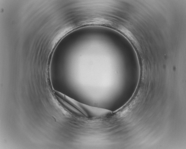 X0000088660850200706081701