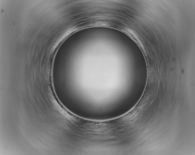 X0000088660851200706081701