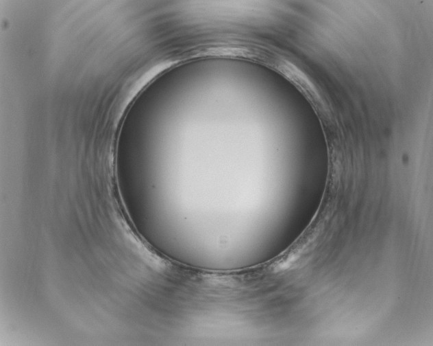 X0000088660852200706081701