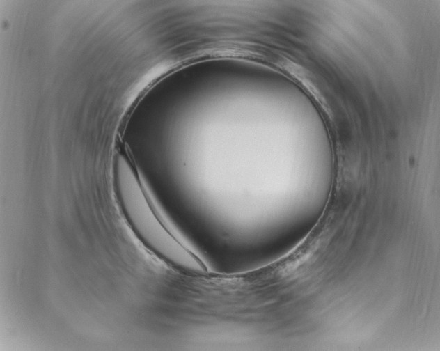 X0000088660853200706081701