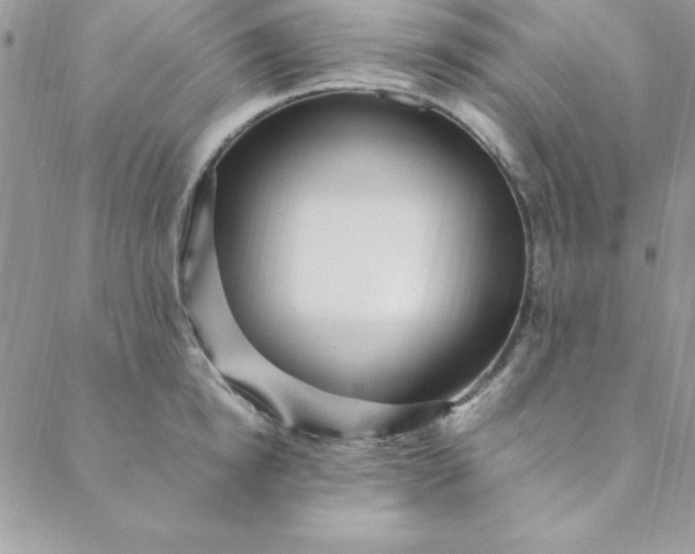 X0000088660854200706081701