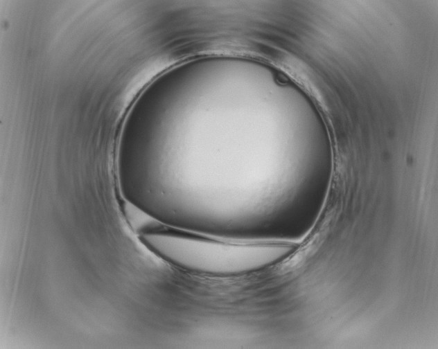 X0000088660855200706081701